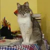 Отзыв от Мария Калашникова